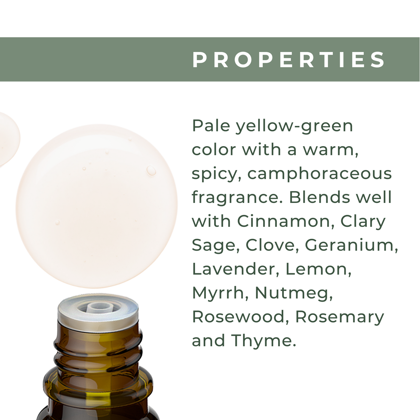 Organic Tea Tree Oil
