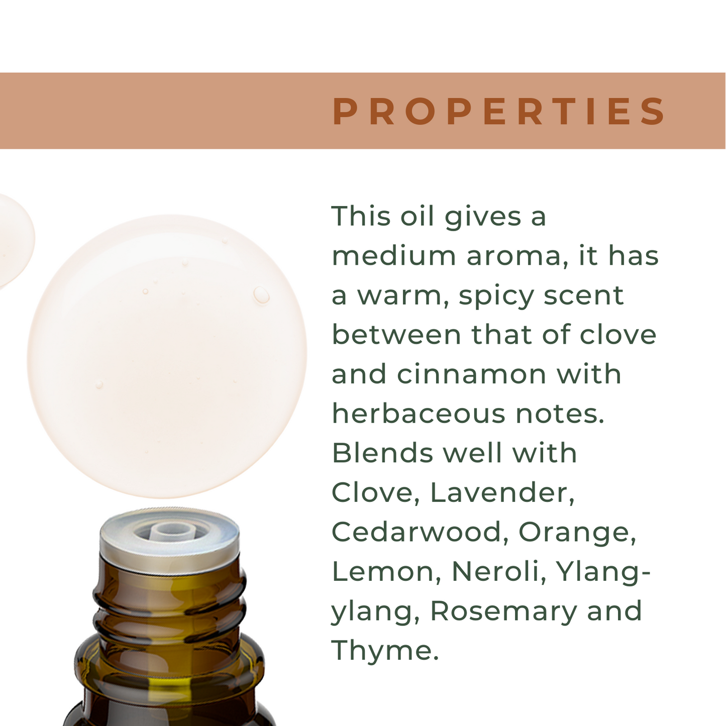 Organic Cinnamon Leaf Oil