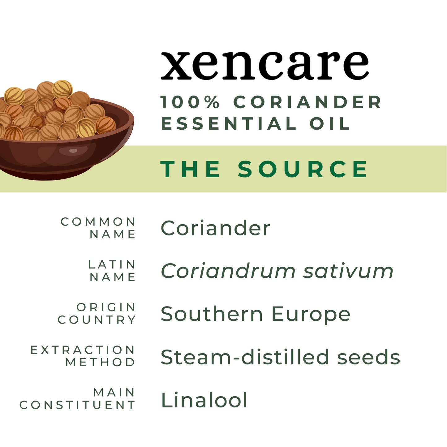 Organic Coriander Oil