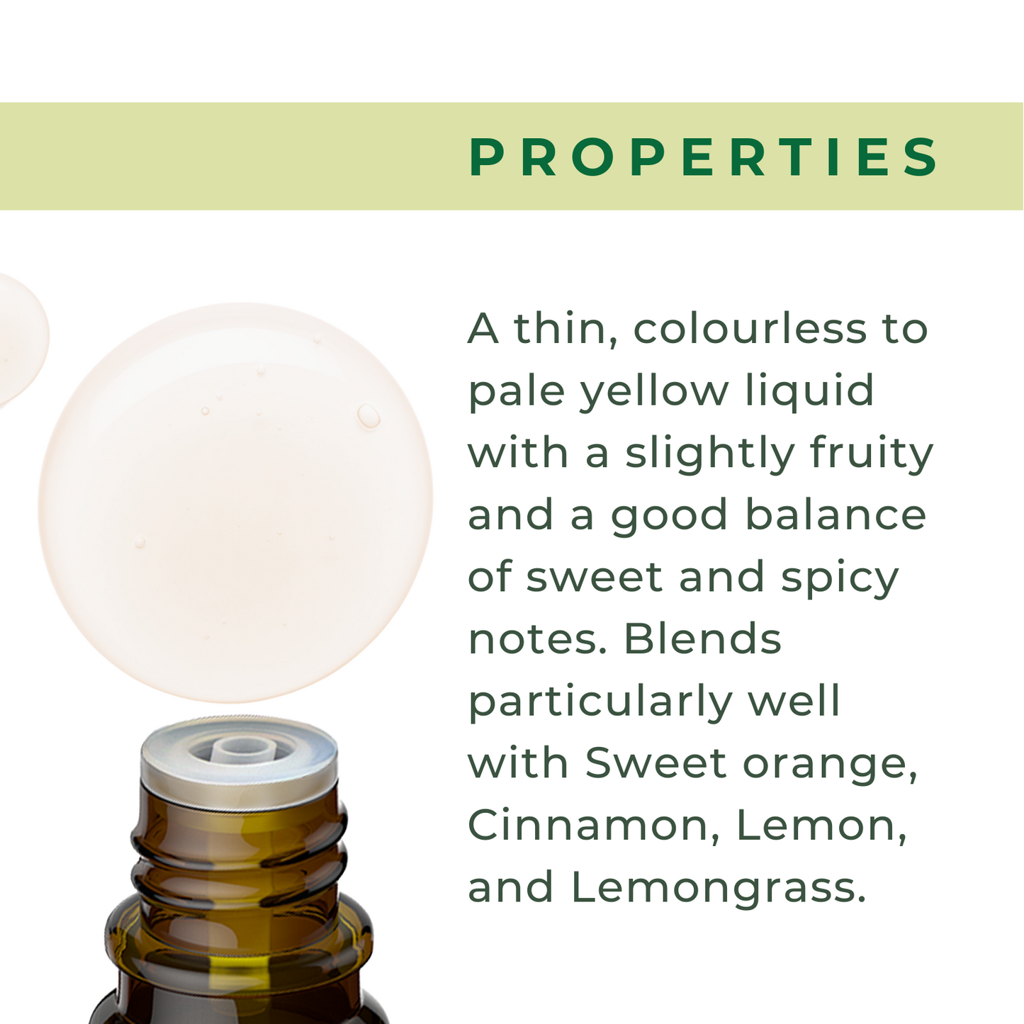 Organic Coriander Oil