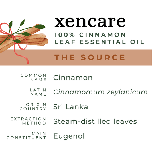 Organic Cinnamon Leaf Oil - xencare