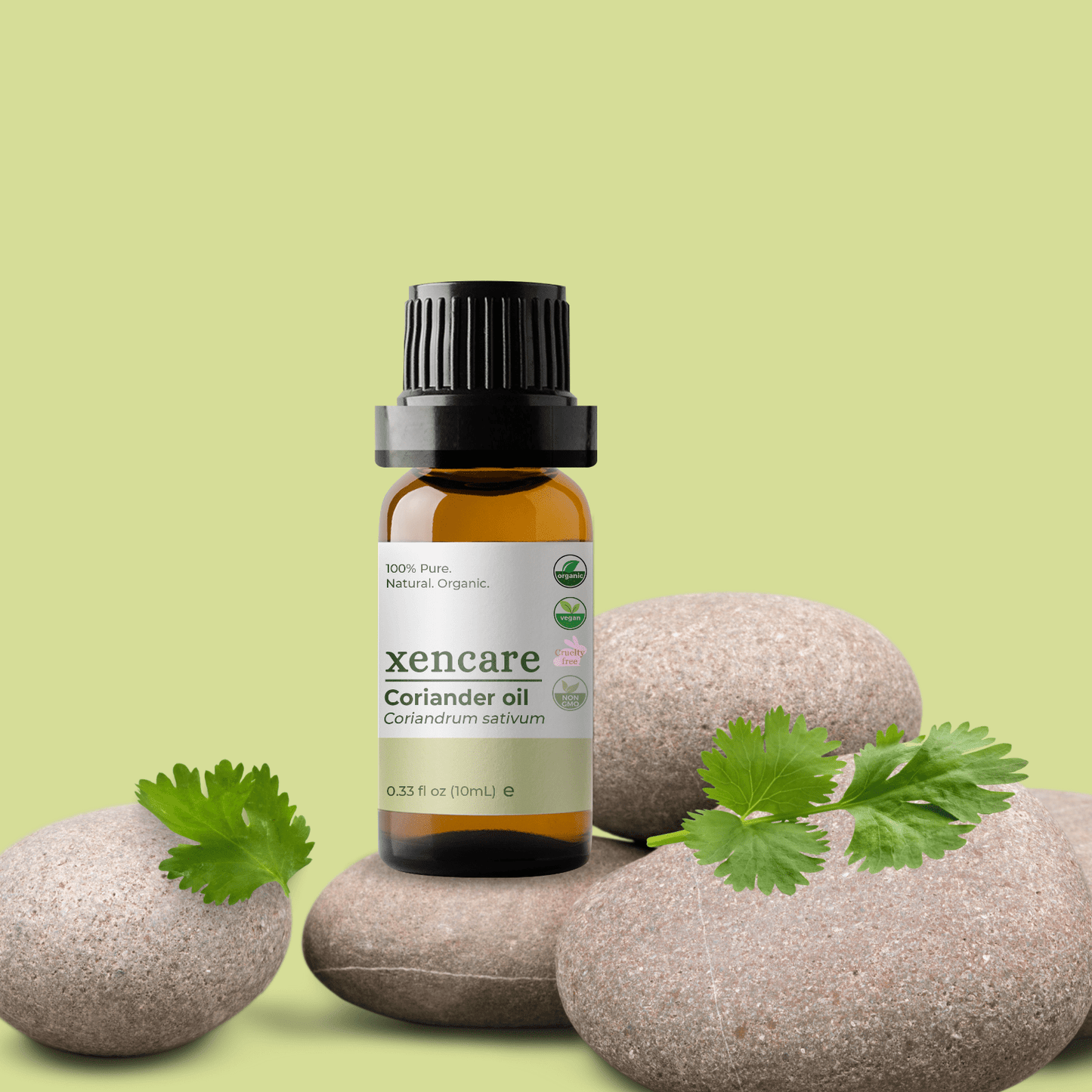 Organic Coriander Oil - xencare