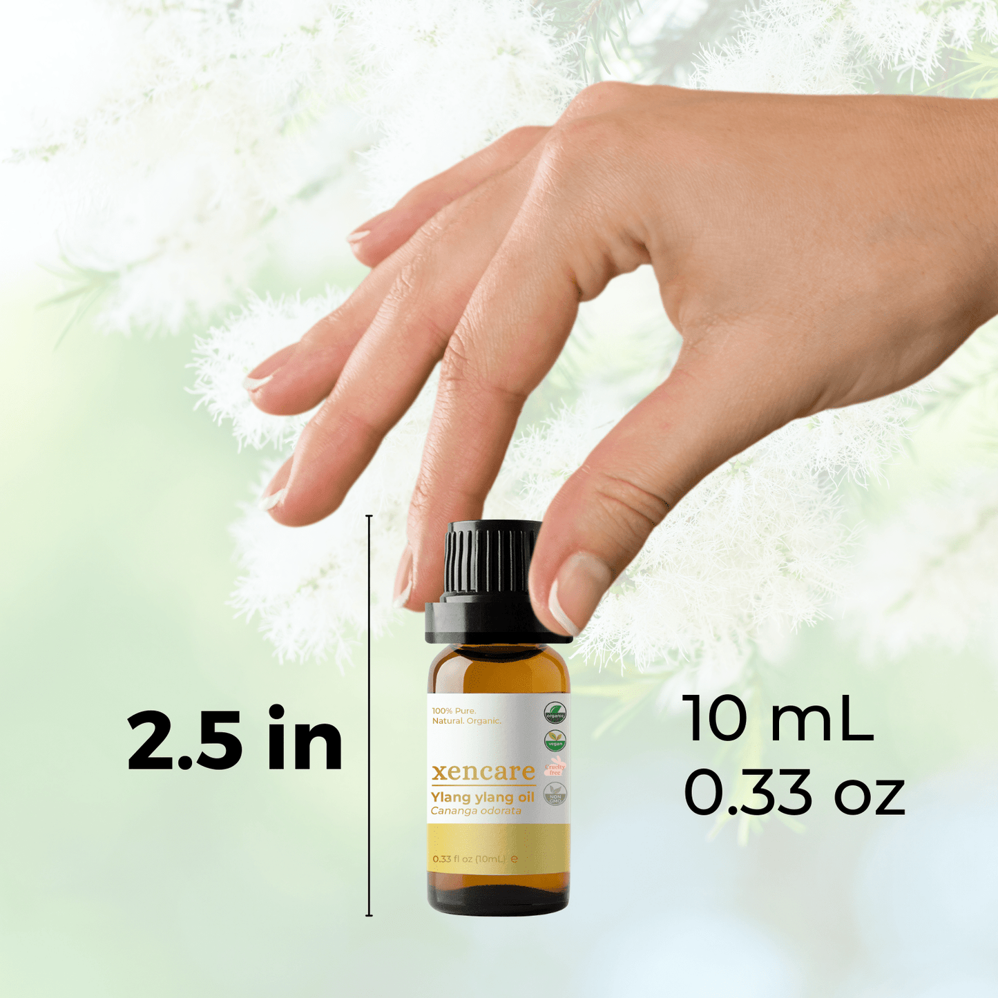 Organic Ylang Ylang Oil - xencare
