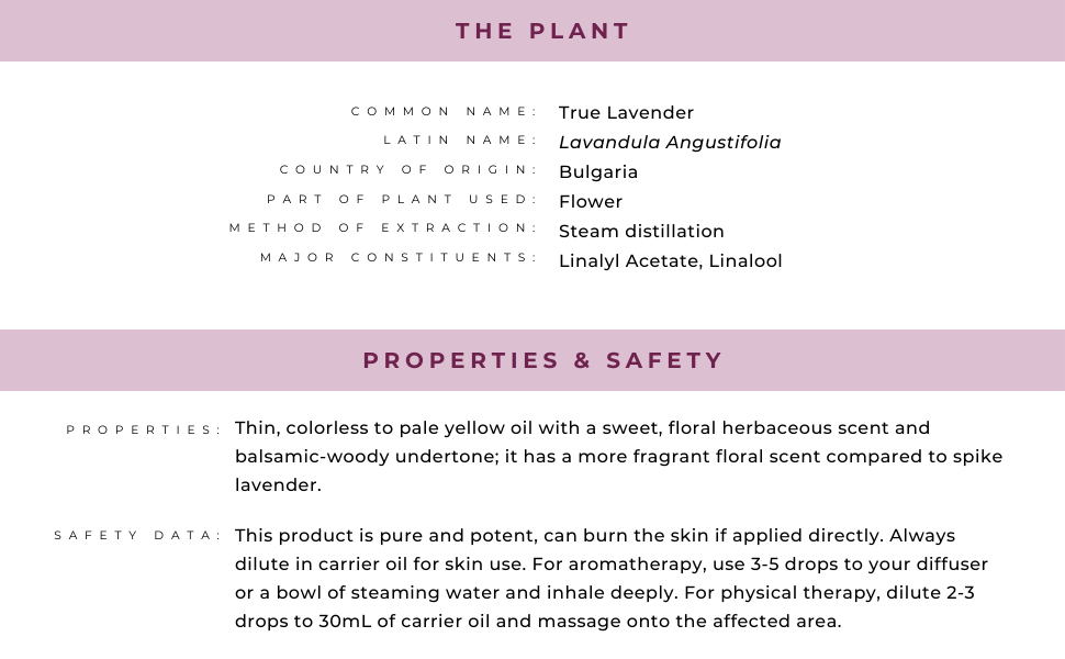 Organic Lavender Oil