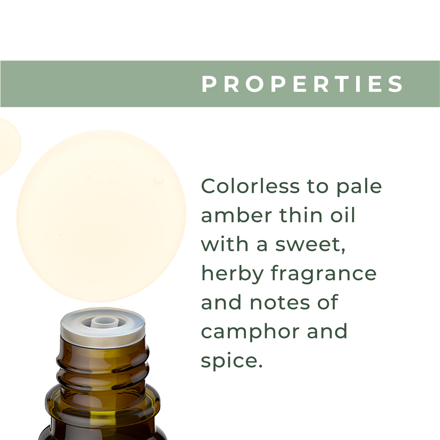 Organic Basil Oil