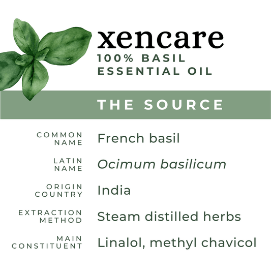 Organic Basil Oil - xencare