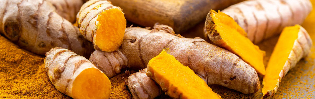 Turmeric for Joint Comfort