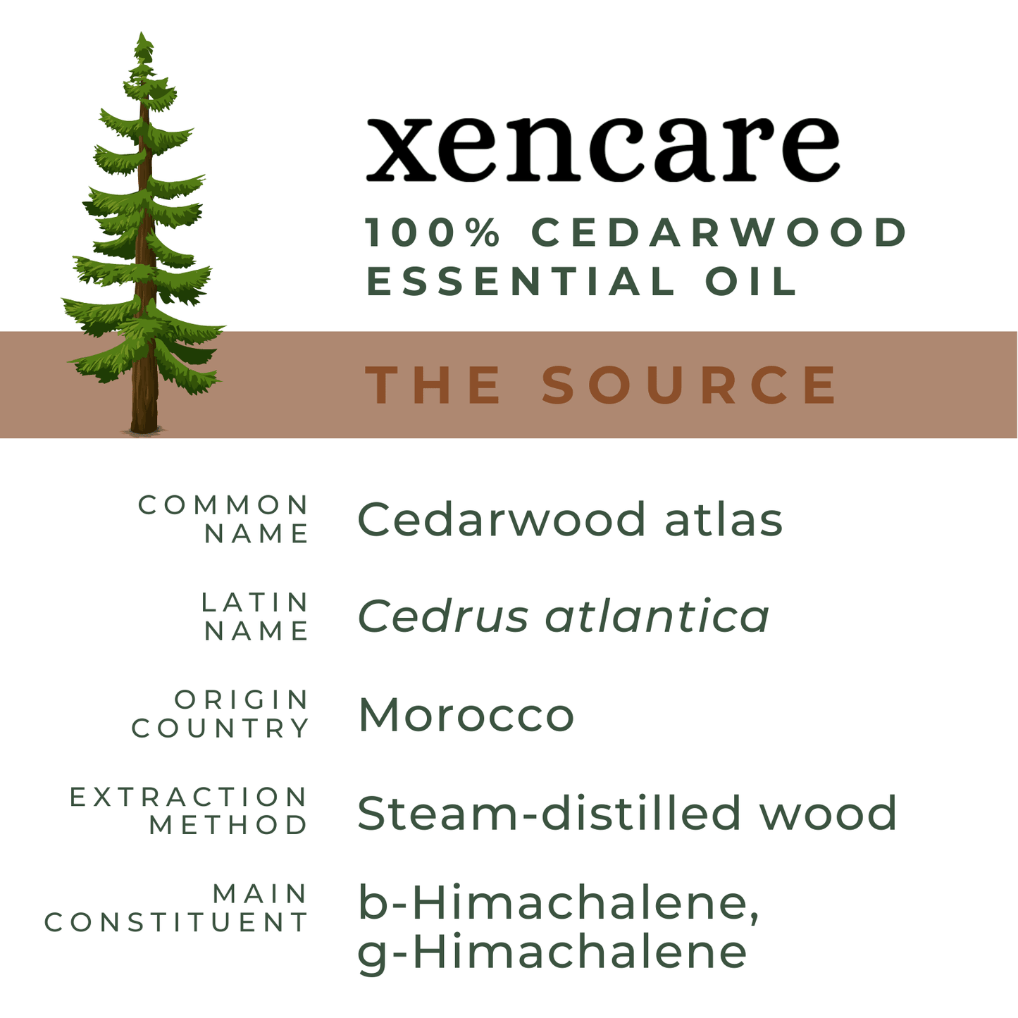 Organic Cedarwood Oil - xencare