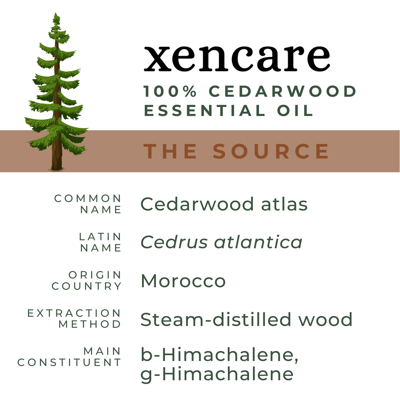 Organic Cedarwood Oil - xencare