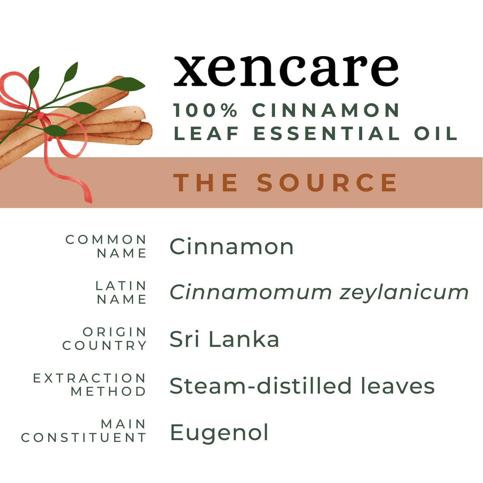 Organic Cinnamon Leaf Oil - xencare
