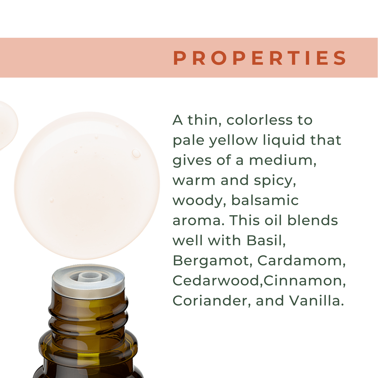 Organic Frankincense Oil - xencare