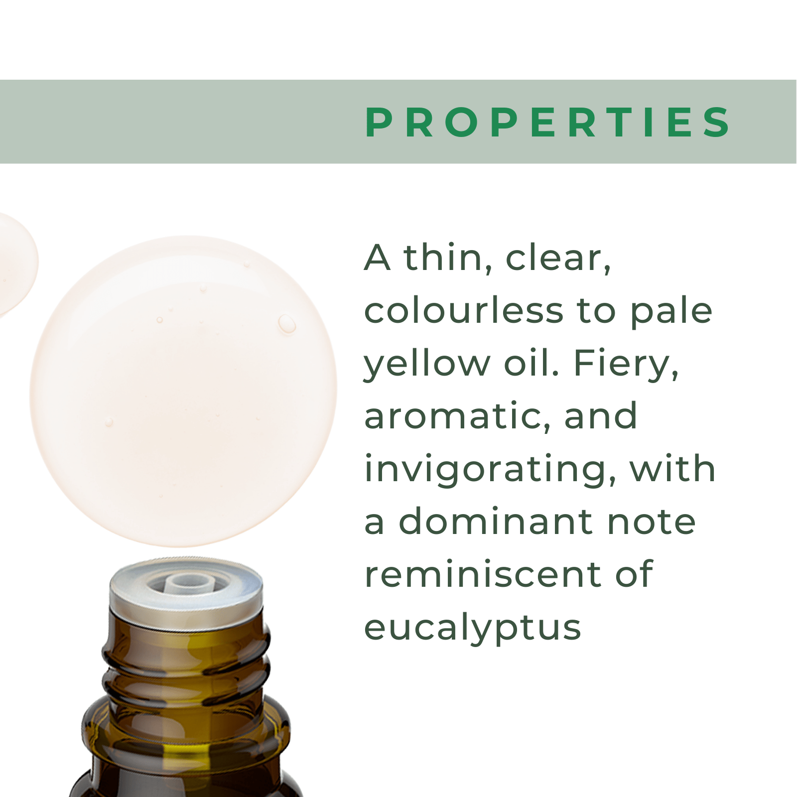 Organic Rosemary Oil - xencare