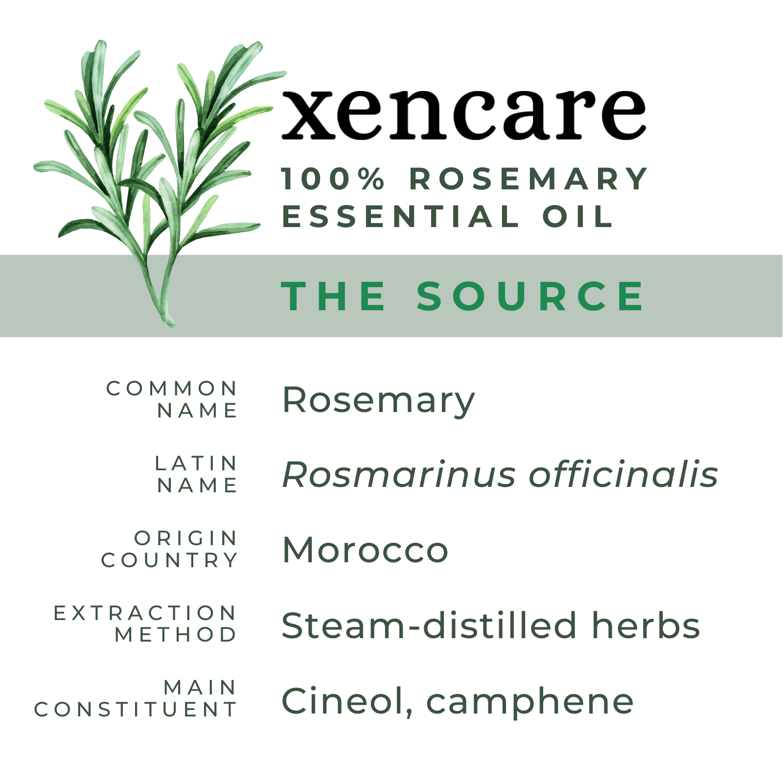 Organic Rosemary Oil - xencare