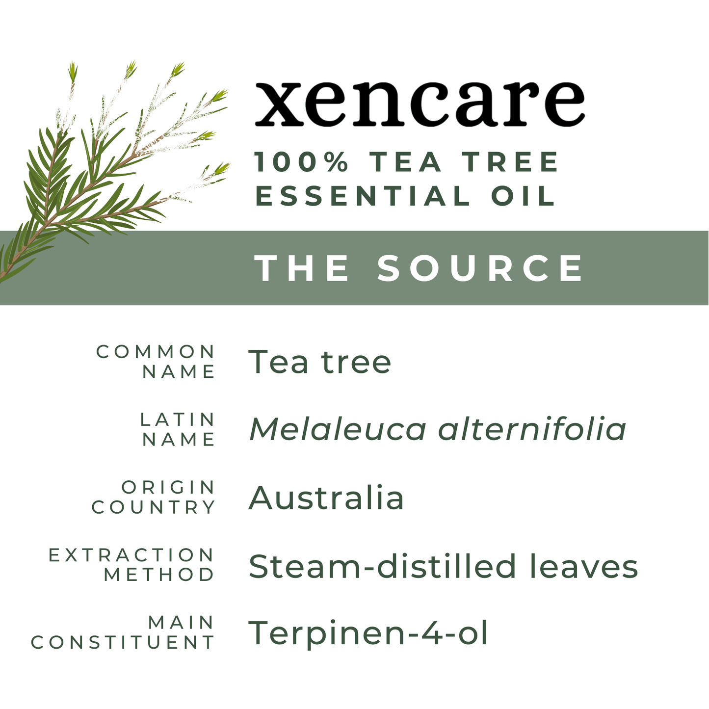 Organic Tea Tree Oil - xencare
