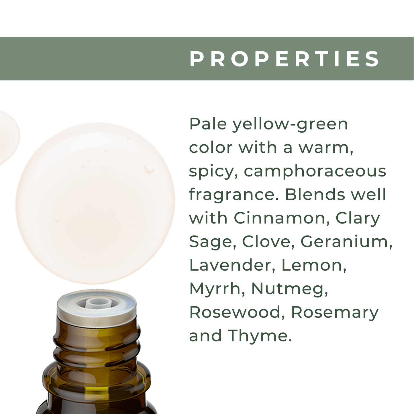 Organic Tea Tree Oil - xencare