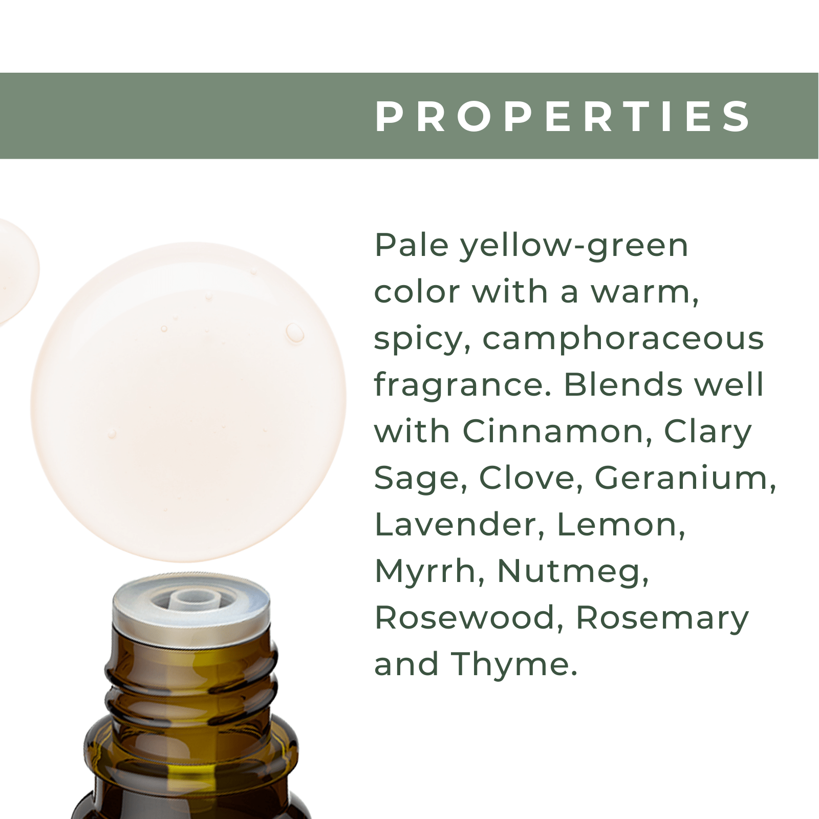 Organic Tea Tree Oil - xencare