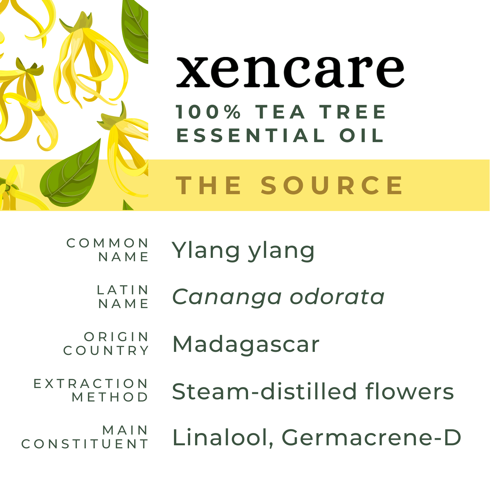 Organic Ylang Ylang Oil - xencare
