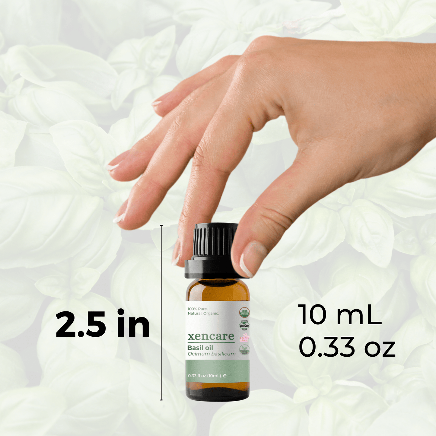 Organic Basil Oil - xencare