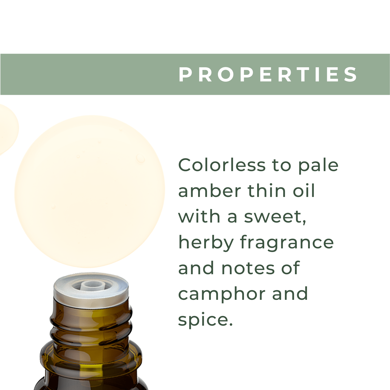 Organic Basil Oil - xencare