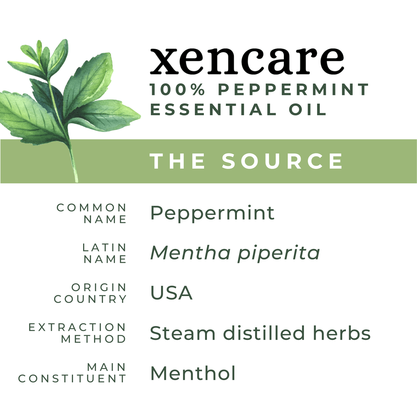 Organic Peppermint Oil - xencare