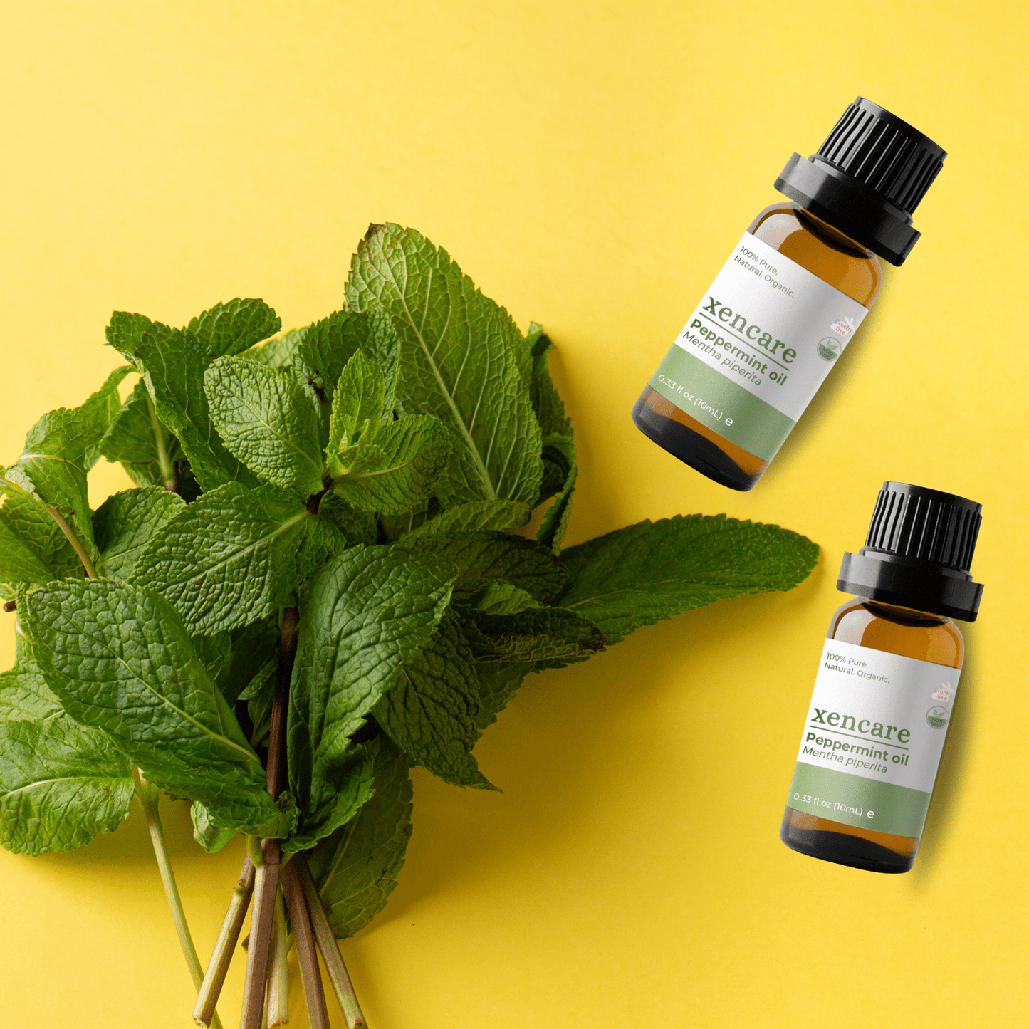 Organic Peppermint Oil - xencare
