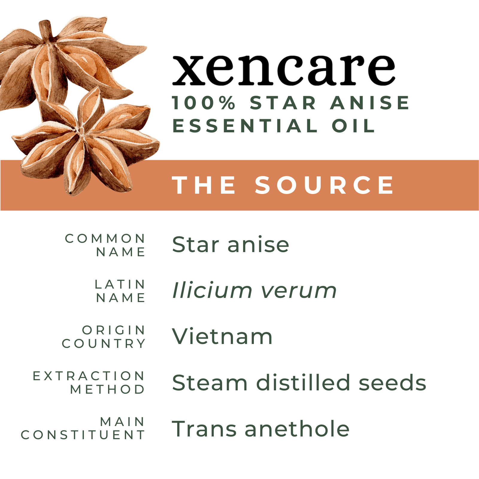 Organic Star Anise Oil - xencare