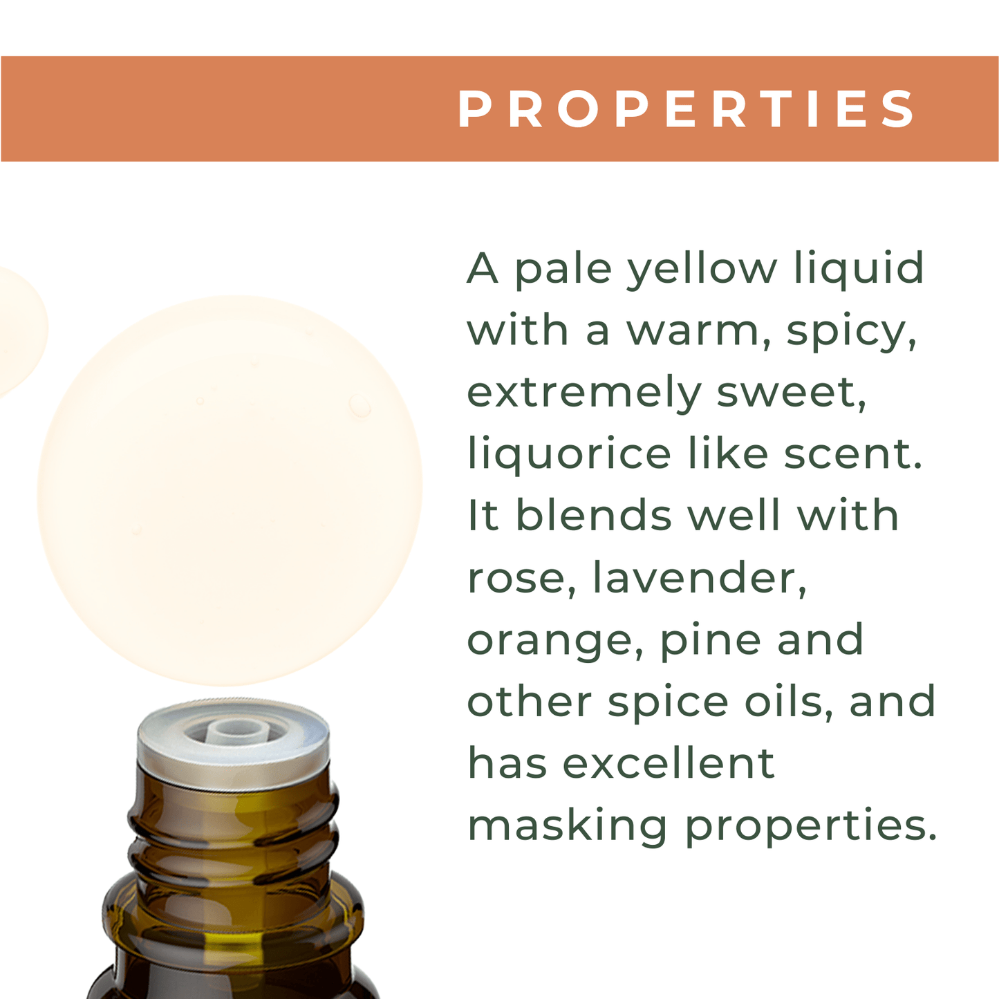 Organic Star Anise Oil - xencare