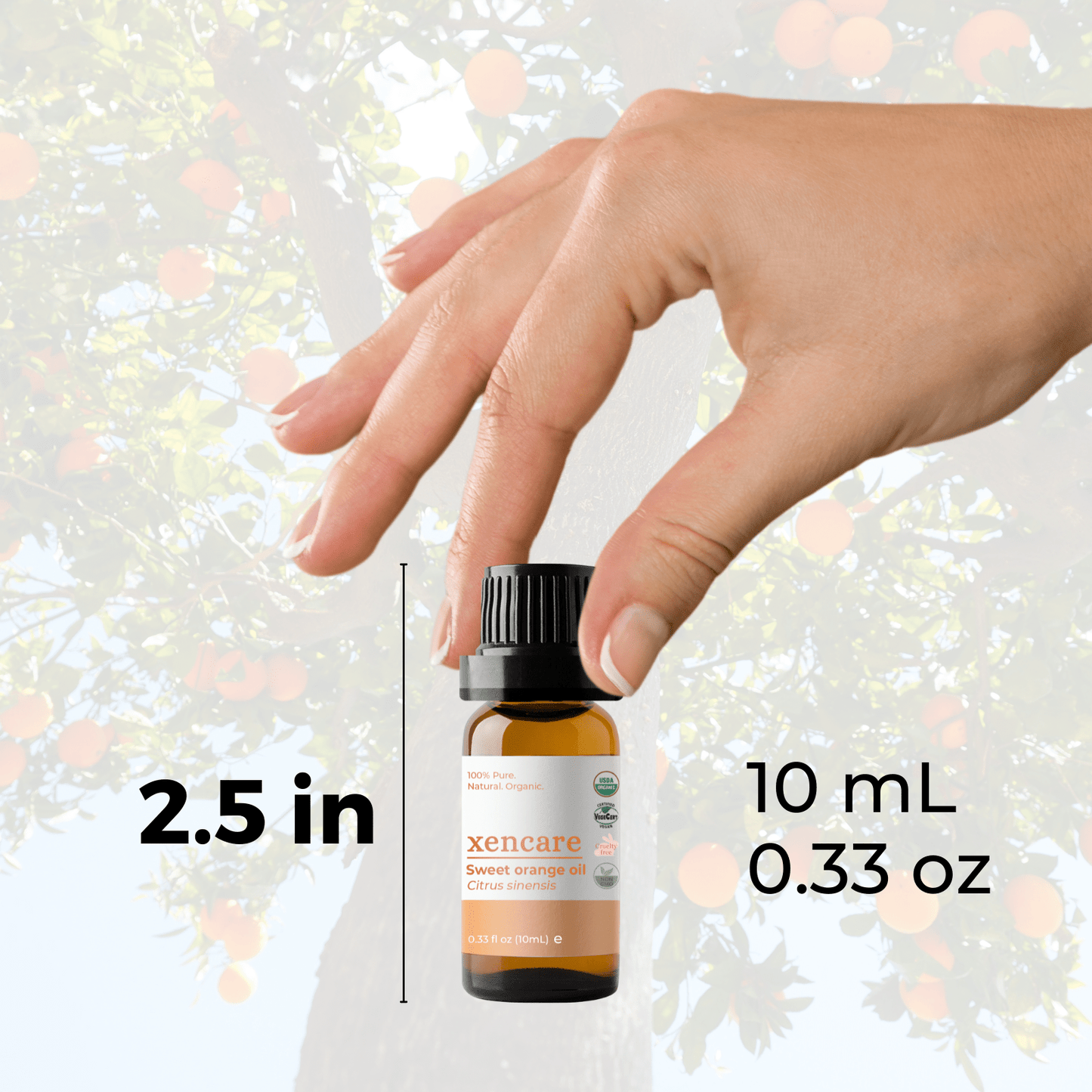 Organic Sweet Orange Oil - xencare
