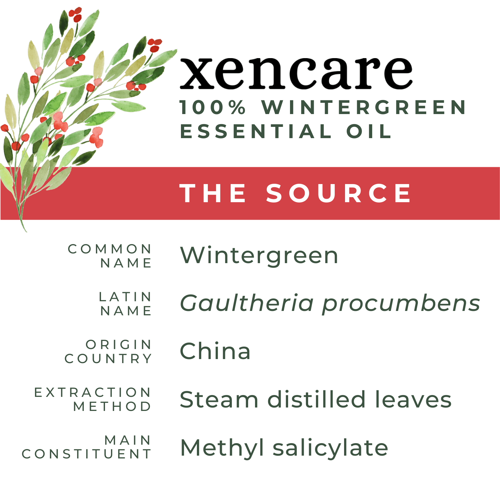 Organic Wintergreen Oil - xencare
